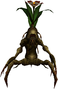Mandragora Sapling