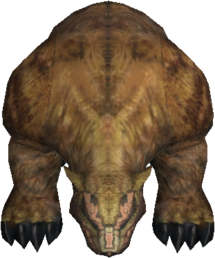 Grizzly Bear