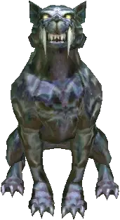Snipe Cohort