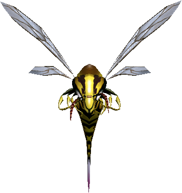 Wasp Worker