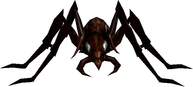 Cave Ant