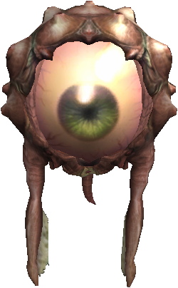 Eye of Pilgrim