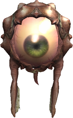 Eye of Ruler
