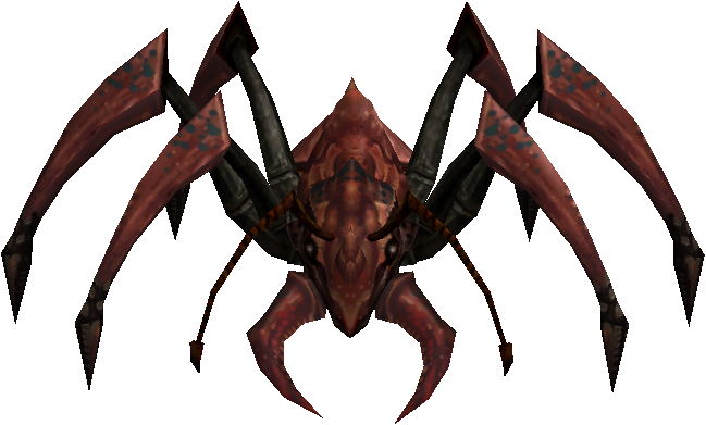 Scavenger Ant