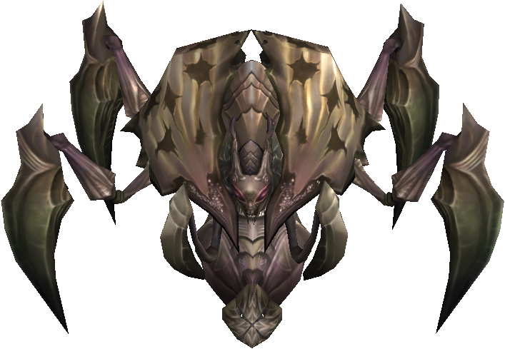 Assassin Beetle